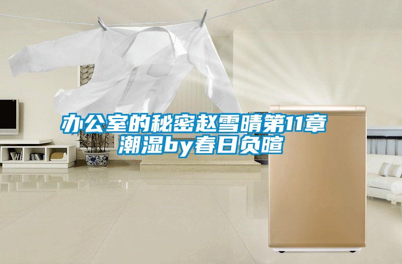 辦公室的秘密趙雪晴第11章 潮濕by春日負暄