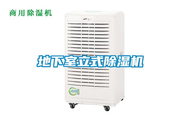 地下室立式草莓视频下载网址