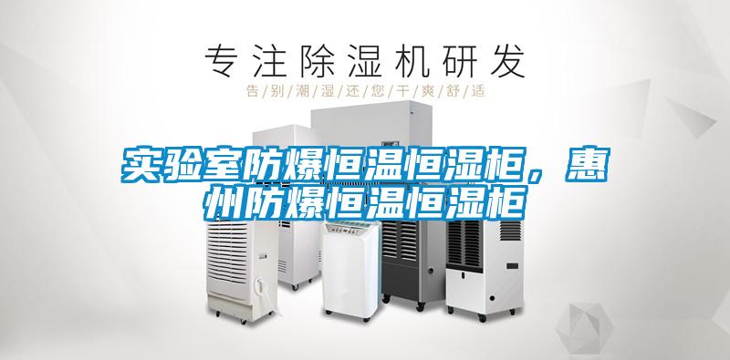實驗室防爆恒溫恒濕櫃，惠州防爆恒溫恒濕櫃