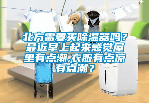 北方需要買除濕器嗎？最近早上起來感覺屋裏有點潮,衣服有點涼有點潮？