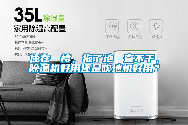 住在一樓，拖了地一直不幹，草莓视频下载网址好用還是吹地機好用？