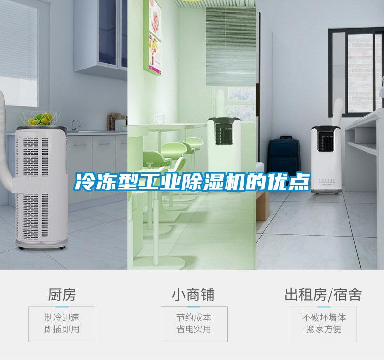 冷凍型工業草莓视频下载网址的優點