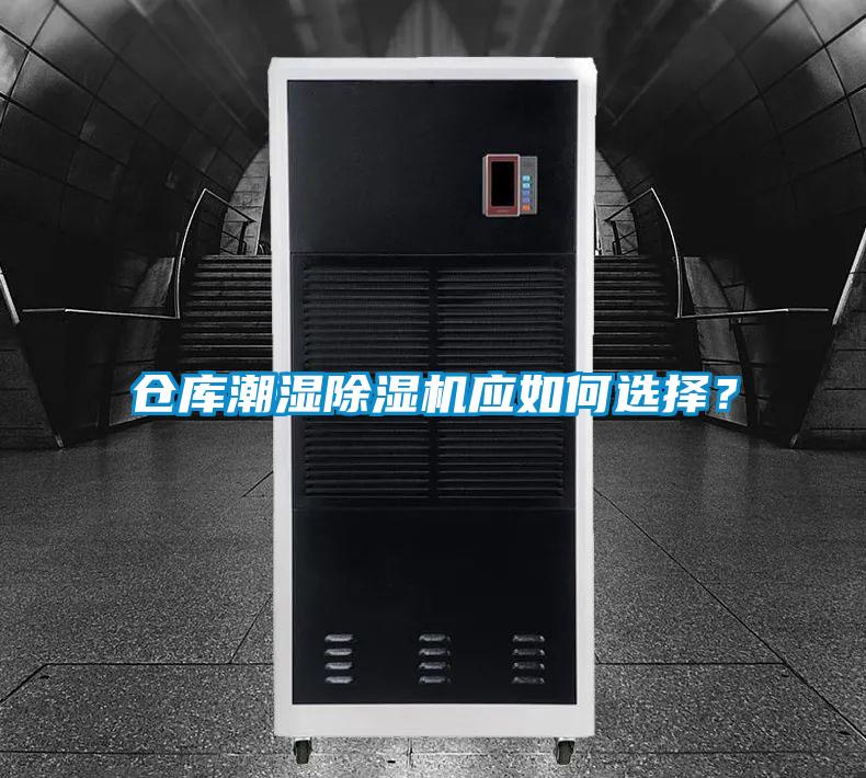 倉庫潮濕草莓视频下载网址應如何選擇？
