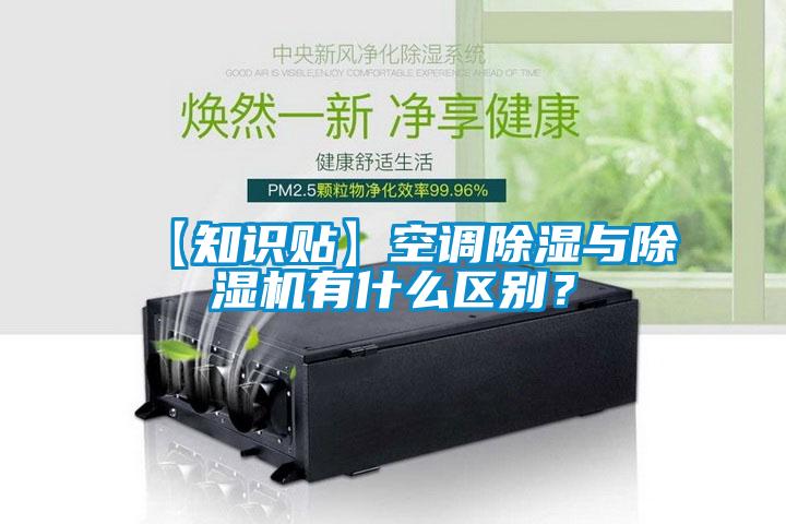 【知識貼】空調除濕與草莓视频下载网址有什麽區別？