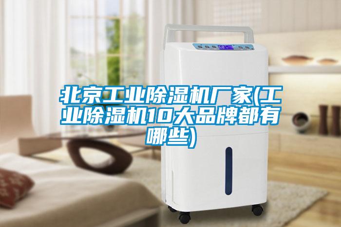 北京工業草莓视频下载网址廠家(工業草莓视频下载网址10大品牌都有哪些)