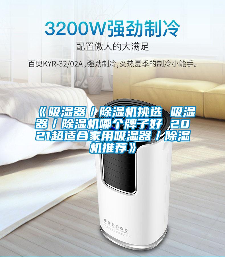 《吸濕器／草莓视频下载网址挑選 吸濕器／草莓视频下载网址哪個牌子好 2021超適合家用吸濕器／草莓视频下载网址推薦》
