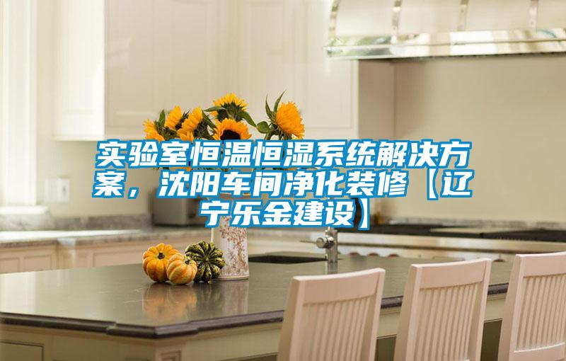 實驗室恒溫恒濕係統草莓视频下载IOS，沈陽車間淨化裝修【遼寧樂金建設】