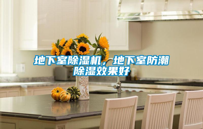 地下室草莓视频下载网址，地下室防潮除濕效果好