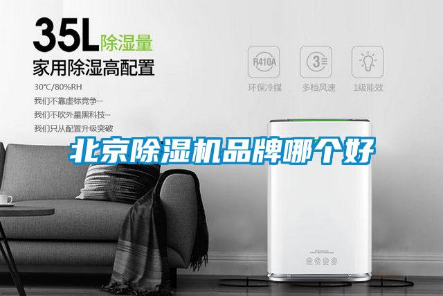 北京草莓视频下载网址品牌哪個好