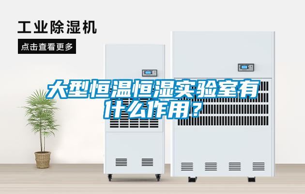 大型恒溫恒濕實驗室有什麽作用？