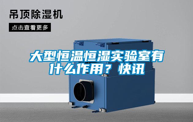 大型恒溫恒濕實驗室有什麽作用？快訊
