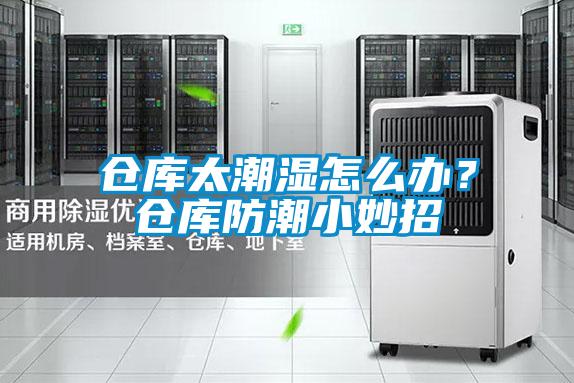 倉庫太潮濕怎麽辦？倉庫防潮小妙招