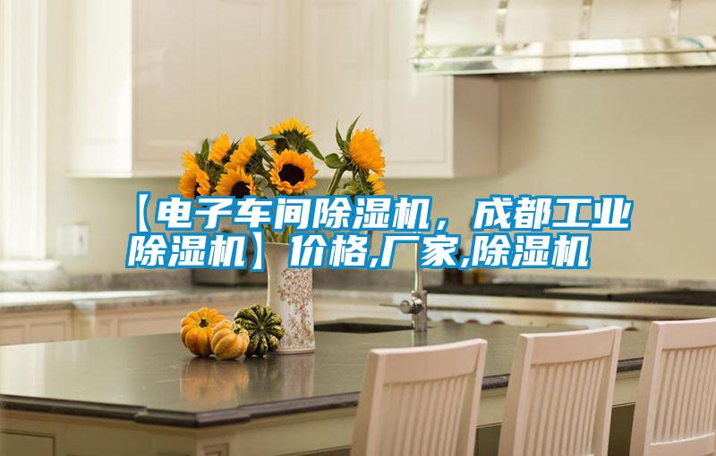 【電子車間草莓视频下载网址，成都工業草莓视频下载网址】價格,廠家,草莓视频下载网址