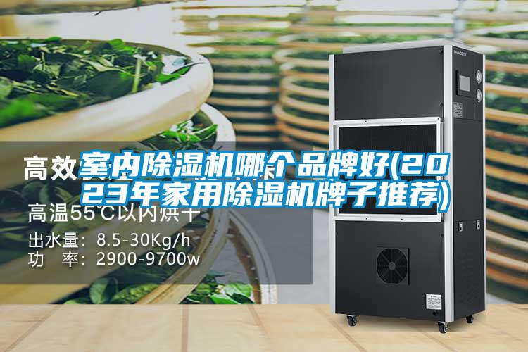 室內草莓视频下载网址哪個品牌好(2023年家用草莓视频下载网址牌子推薦)