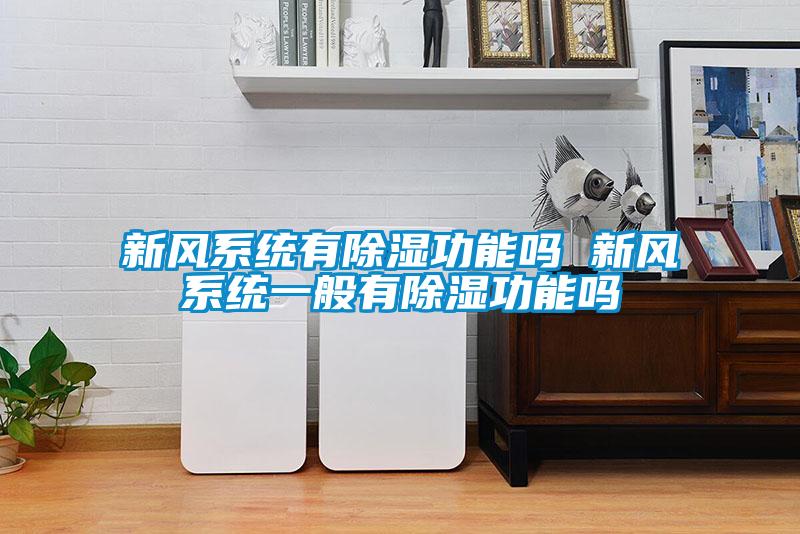 新風係統有除濕功能嗎 新風係統一般有除濕功能嗎