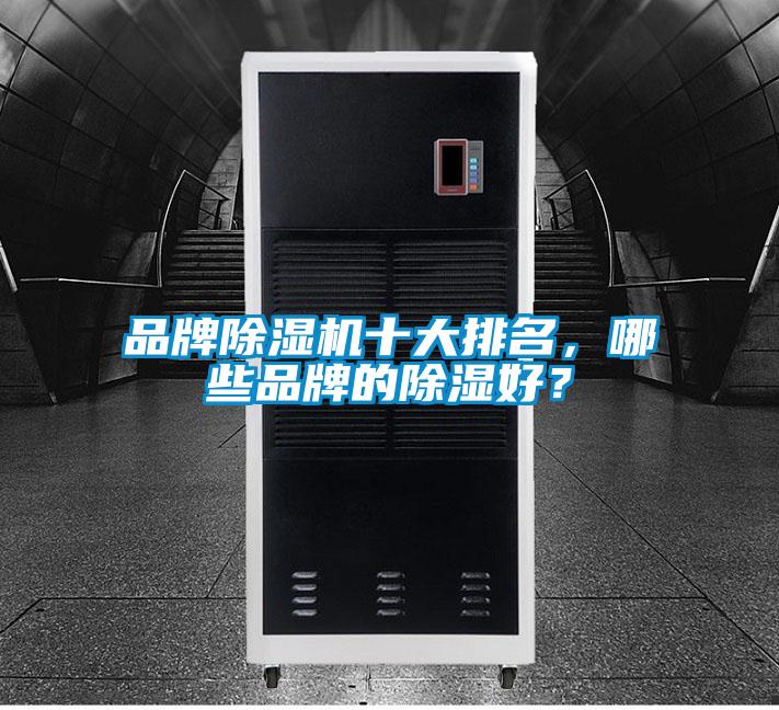 品牌草莓视频下载网址十大排名，哪些品牌的除濕好？