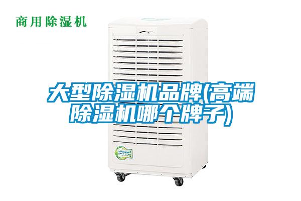 大型草莓视频下载网址品牌(高端草莓视频下载网址哪個牌子)