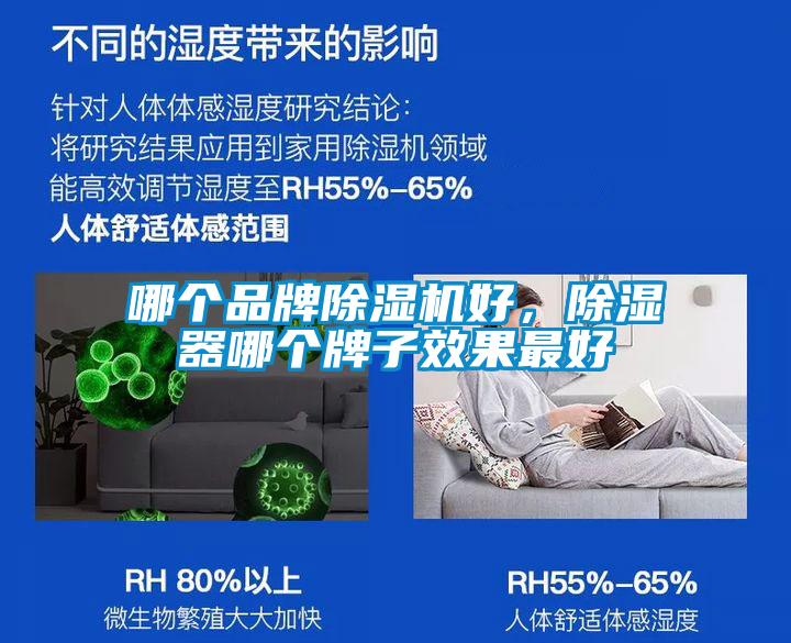 哪個品牌草莓视频下载网址好，除濕器哪個牌子效果最好