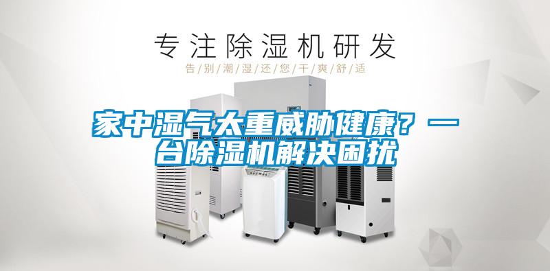 家中濕氣太重威脅健康？一台草莓视频下载网址解決困擾