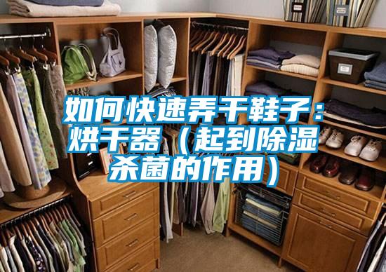 如何快速弄幹鞋子：烘幹器（起到除濕殺菌的作用）