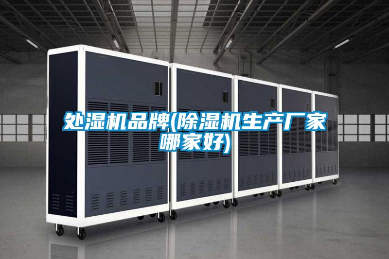 處濕機品牌(草莓视频下载网址生產廠家哪家好)