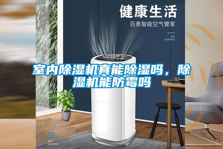 室內草莓视频下载网址真能除濕嗎，草莓视频下载网址能防黴嗎