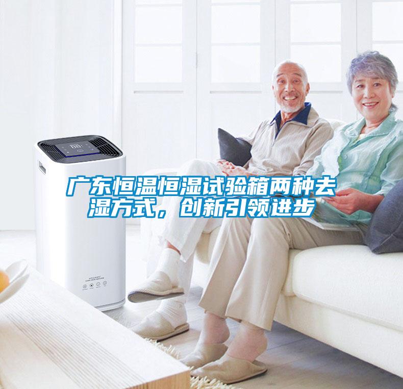 廣東恒溫恒濕試驗箱兩種去濕方式，創新引領進步