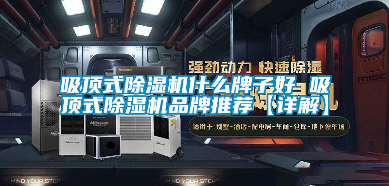 吸頂式草莓视频下载网址什麽牌子好 吸頂式草莓视频下载网址品牌推薦【詳解】