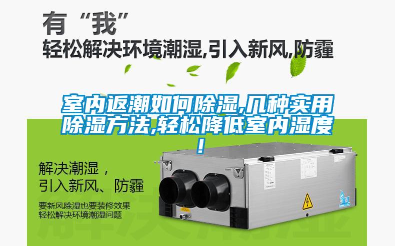 室內返潮如何除濕,幾種實用除濕方法,輕鬆降低室內濕度！