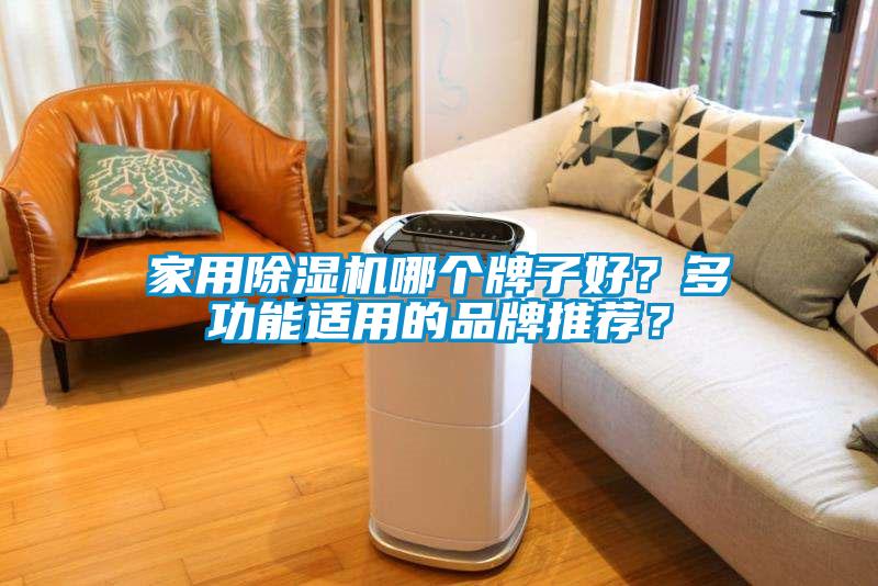 家用草莓视频下载网址哪個牌子好？多功能適用的品牌推薦？