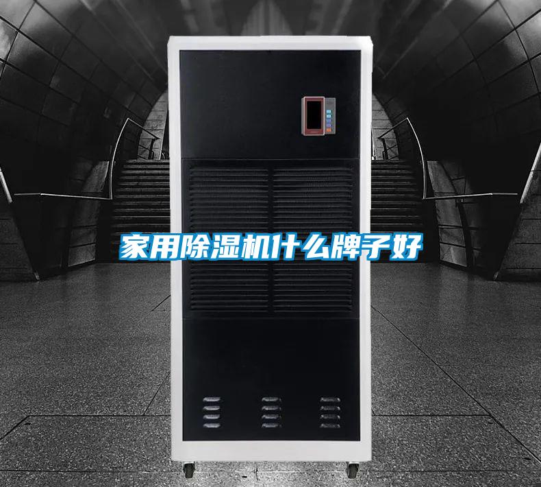 家用草莓视频下载网址什麽牌子好
