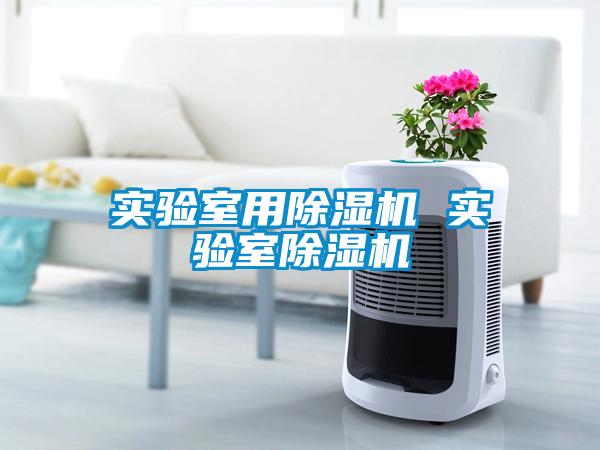 實驗室用草莓视频下载网址 實驗室草莓视频下载网址