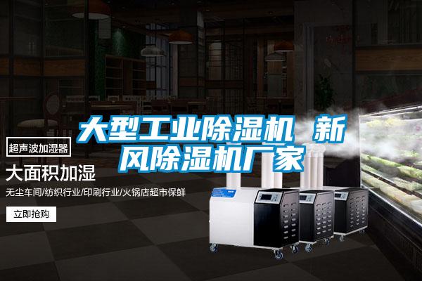 大型工業草莓视频下载网址 新風草莓视频下载网址廠家