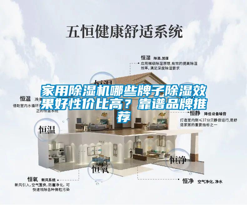 家用草莓视频下载网址哪些牌子除濕效果好性價比高？靠譜品牌推薦