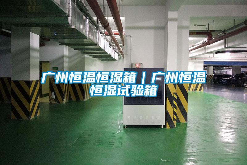 廣州恒溫恒濕箱｜廣州恒溫恒濕試驗箱