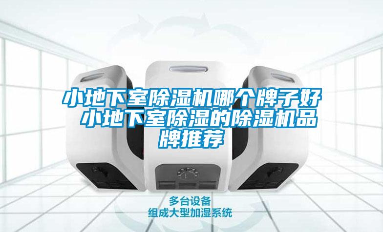 小地下室草莓视频下载网址哪個牌子好 小地下室除濕的草莓视频下载网址品牌推薦
