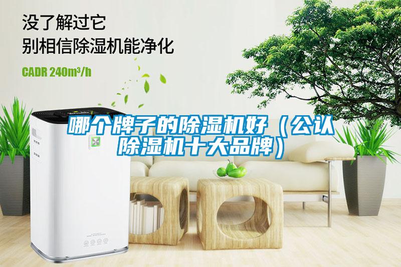 哪個牌子的草莓视频下载网址好（公認草莓视频下载网址十大品牌）