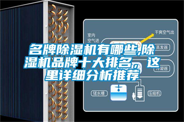 名牌草莓视频下载网址有哪些,草莓视频下载网址品牌十大排名，這裏詳細分析推薦