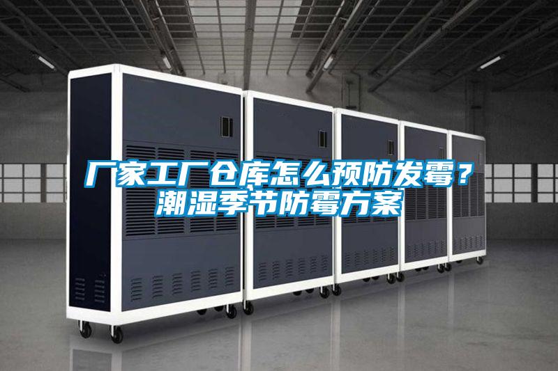廠家工廠倉庫怎麽預防發黴？潮濕季節防黴方案