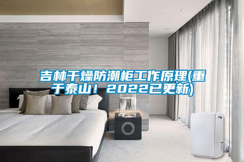 吉林幹燥防潮櫃工作原理(重於泰山！2022已更新)