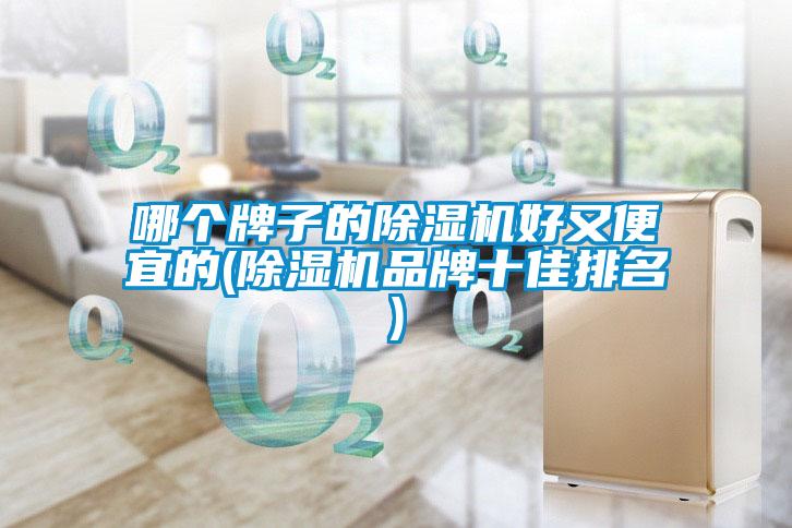 哪個牌子的草莓视频下载网址好又便宜的(草莓视频下载网址品牌十佳排名)