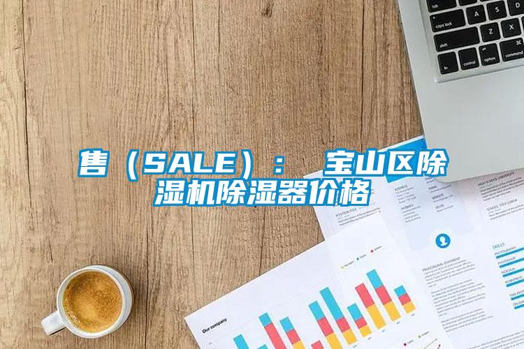 售（SALE）： 寶山區草莓视频下载网址除濕器價格