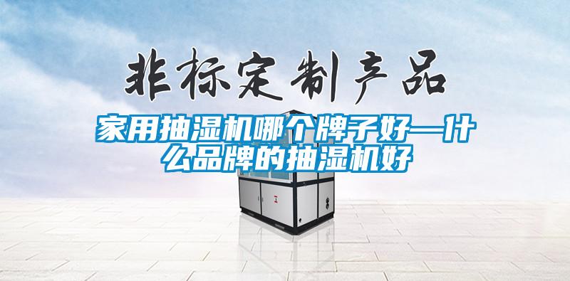 家用抽濕機哪個牌子好—什麽品牌的抽濕機好