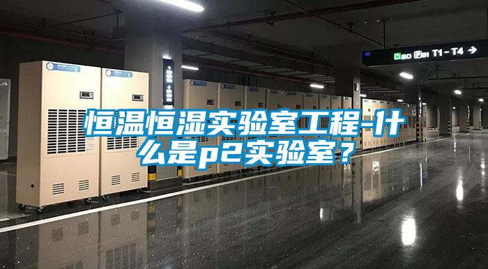 恒溫恒濕實驗室工程-什麽是p2實驗室？