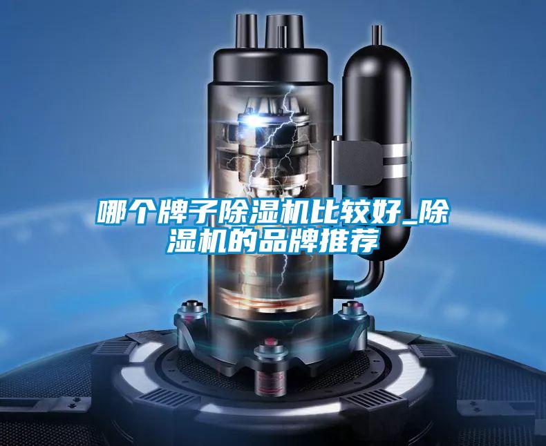 哪個牌子草莓视频下载网址比較好_草莓视频下载网址的品牌推薦