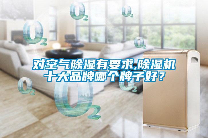 對空氣除濕有要求,草莓视频下载网址十大品牌哪個牌子好？