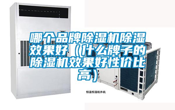 哪個品牌草莓视频下载网址除濕效果好（什麽牌子的草莓视频下载网址效果好性價比高）