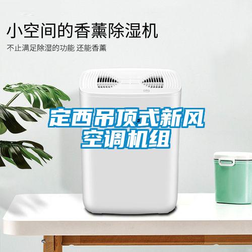 定西吊頂式新風空調機組