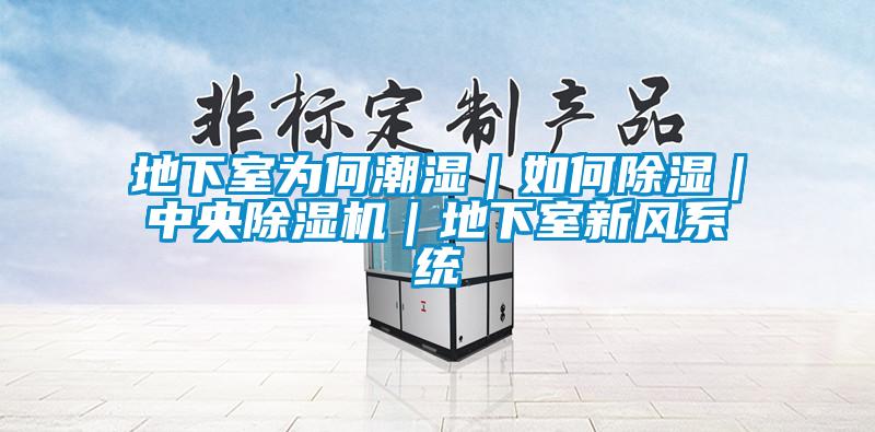 地下室為何潮濕｜如何除濕｜中央草莓视频下载网址｜地下室新風係統