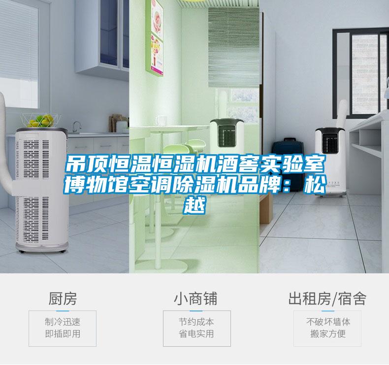 吊頂恒溫恒濕機酒窖實驗室博物館空調草莓视频下载网址品牌：鬆越